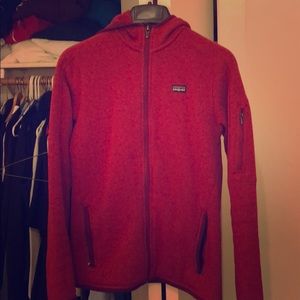Patagonia Hooded Better Sweater